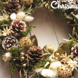 画像1: *Christmas Wreath Collection* Dry Flower #14