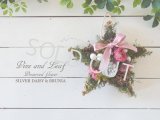 シルバーデージーとブルニアの星形スワッグ〜Vine and Leaf の Christmas〜 