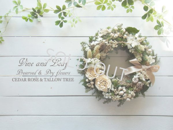 画像1: シダローズとナンキンハゼのクリスマスリース〜Vine and Leaf の Christmas〜