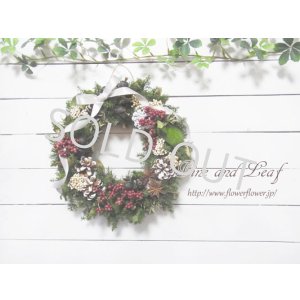 画像: 赤い実とスターアニスのクリスマスリース〜Vine and Leaf の Christmas〜 