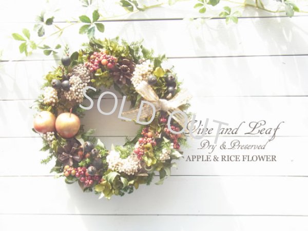 画像1: 赤いりんごとベリーのクリスマスリース〜Vine and Leaf の Christmas〜
